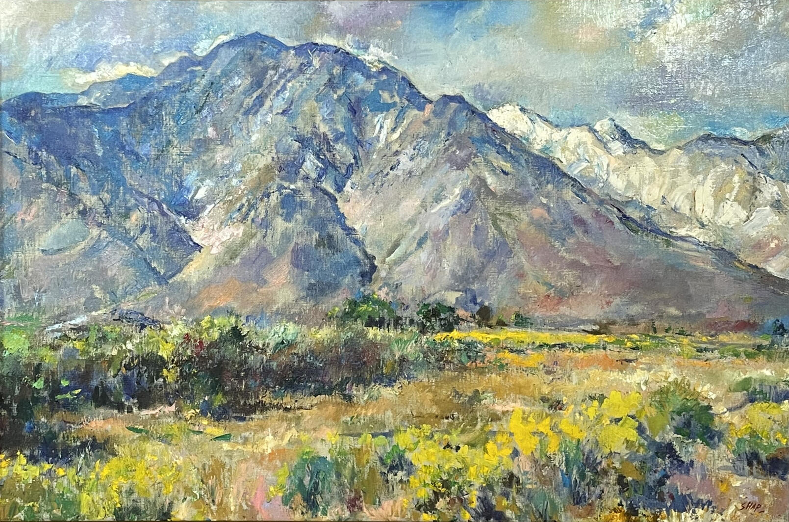 Spring on the Sierra Madre, 30x20&quot;